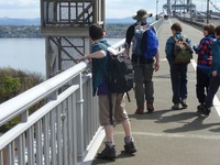 Bridge Walk photo