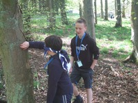 Frisbee Golf photo