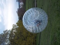Hamster Zorbs photo