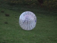 Hamster Zorbs photo