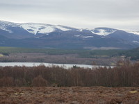 Mountain Rescue photo