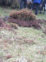 Mountain Rescue photo