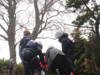 Mountain Rescue photo