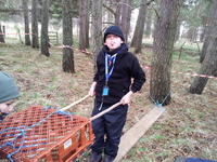 Obstacle Course photo