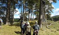 Backwoods Cooking :: Tree Climb Leap of Faith  photo