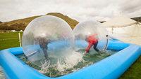 Water Walkers photo