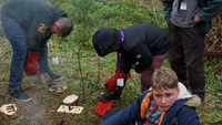 Tomahawk Throwing / Camp Pizza / Branding photo