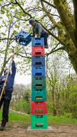 Rope & Ladder Climb / Crate Climbing / Wobbly Pole / Tyrolean photo