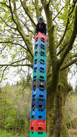 Rope & Ladder Climb / Crate Climbing / Wobbly Pole / Tyrolean photo