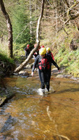 Bush Craft / Gorge Walk photo