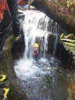 Bush Craft / Gorge Walk photo