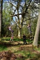High Balance photo