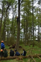 Leap of Faith photo