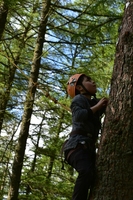 Leap of Faith photo