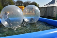 Water Walkers photo