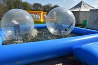 Water Walkers photo