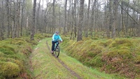 Mountain Biking photo