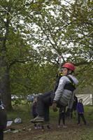 3G Swing photo