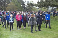 Striking Camp photo