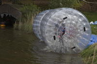 Water Rollers photo