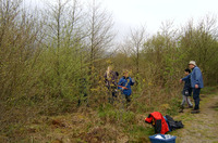 Service Project photo
