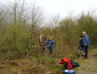 Service Project photo