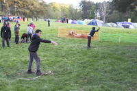 Tomahawk Throwing photo