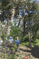 Peg Pole Climb photo