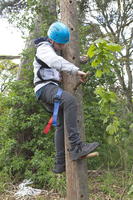Peg Pole Climb photo