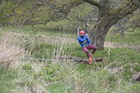 Tyrolean photo