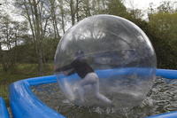 Water Walkers photo