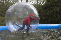 Water Walkers photo