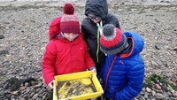 Mud Glorious Mud/Pondamonium photo