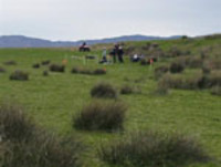 Quads photo