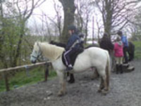 Multi Activity - Mini Railway/Swimming/Pony Trekking photo