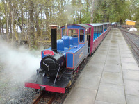 Multi Activity - Mini Railway/Swimming/Pony Trekking photo