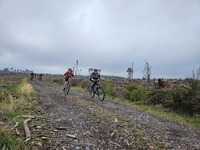 Mountain Biking photo