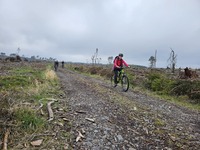 Mountain Biking photo