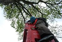 Crate Climbing photo