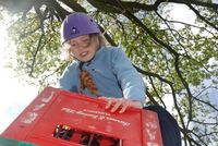 Crate Climbing photo