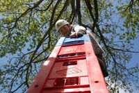 Crate Climbing photo