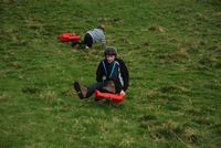 Grass Sledges photo