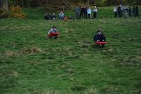 Grass Sledges photo