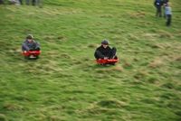 Grass Sledges photo