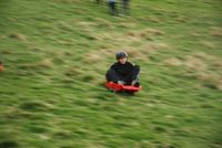 Grass Sledges photo