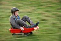 Grass Sledges photo