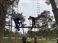 In the Trees photo