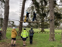 In the Trees photo