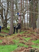 In the Trees photo
