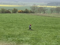 Grass Sledging, Mountain Boards and Land Yachts photo